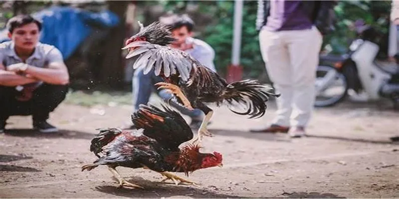 Bảo mật đầy tuyệt đối