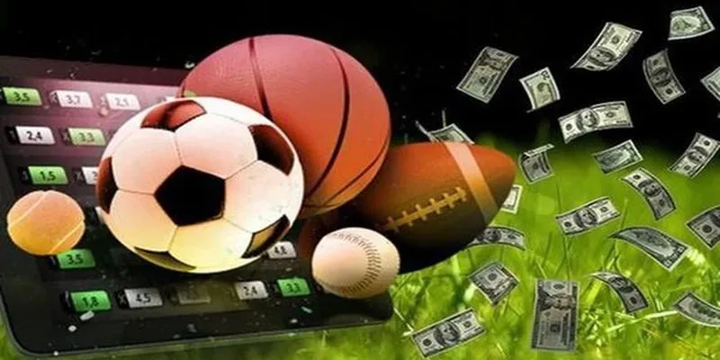 Đừng cố gỡ khi cược