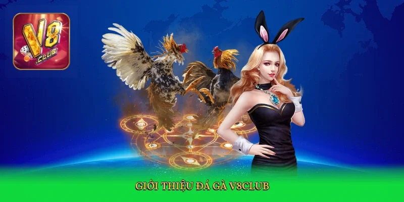 gioi-thieu-da-ga-v8club-2