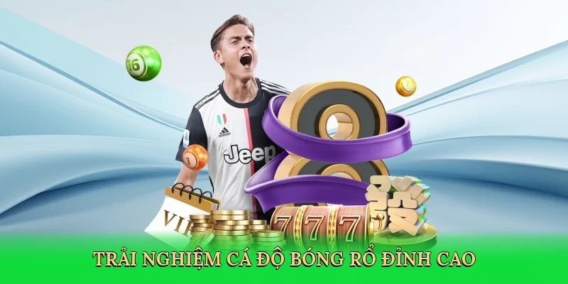 Trải nghiệm Cá độ bóng rổ đỉnh cao